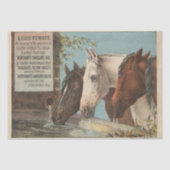 農業馬飲料水広告Ephemera 薄葉紙 (正面)
