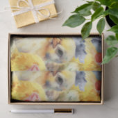 農業鶏の水彩 薄葉紙 (ギフト)