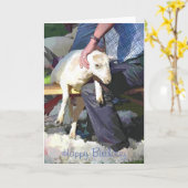 農業 カード (黄色い花)