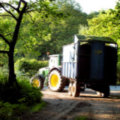 農業 キャンバスプリント