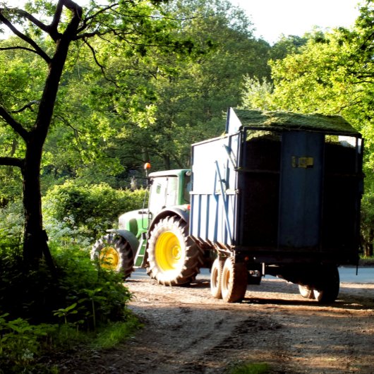 農業 キャンバスプリント