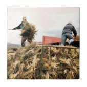 農業 タイル (正面)