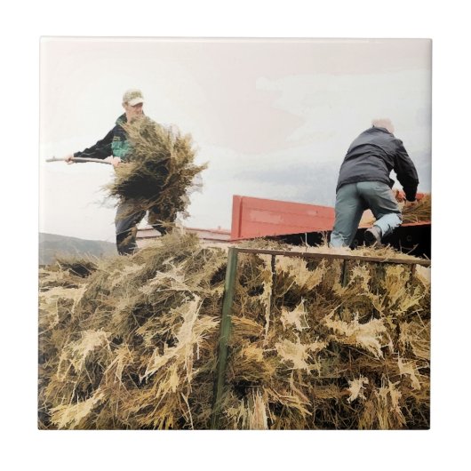 農業 タイル (正面)