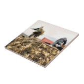 農業 タイル (側面)