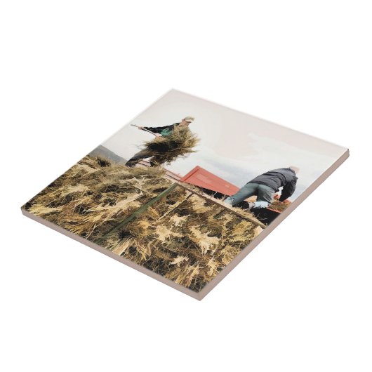 農業 タイル (側面)