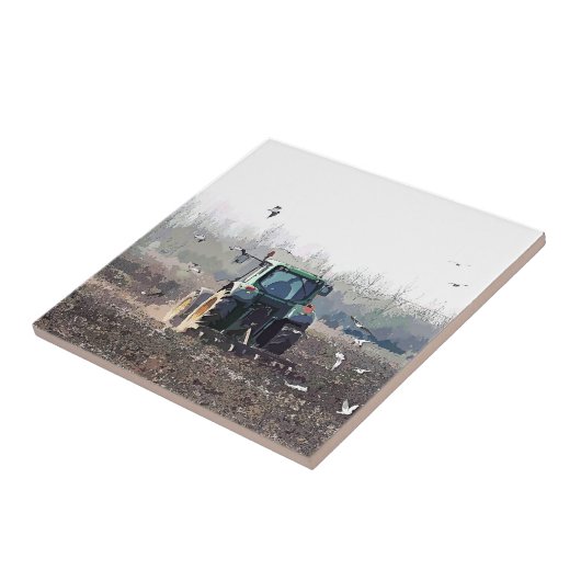 農業 タイル (側面)