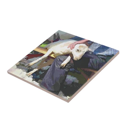 農業 タイル (側面)