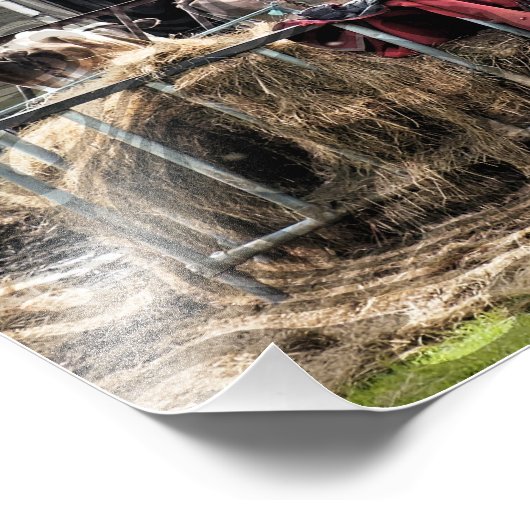 農業 フォトプリント            (角)