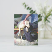 農業 ポストカード (スタンド正面)