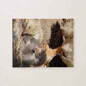 農業，動物，芸術，ベビー，くちばし，鳥。 ジグソーパズル (横)