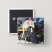 農業 缶バッジ (正面&裏面)