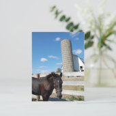 農馬 ポストカード (スタンド正面)