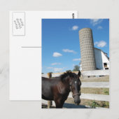 農馬 ポストカード (正面/裏面)