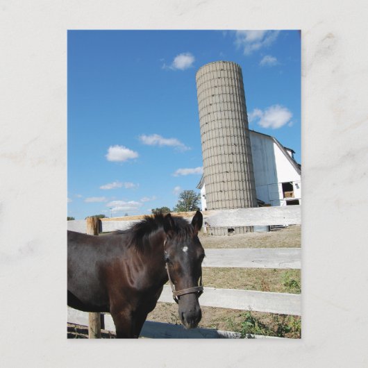 農馬 ポストカード (正面)