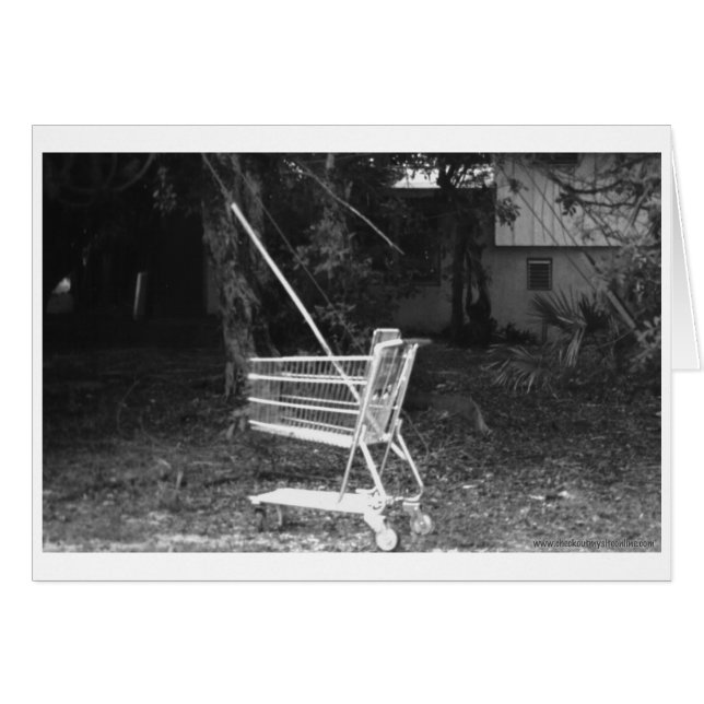 辺鄙な所にキャリッジ (正面横)