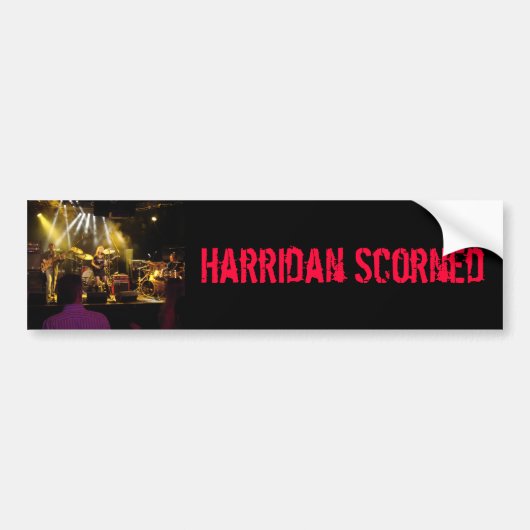 込み合い(13)の軽蔑される鬼婆 バンパーステッカー (正面)