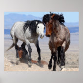 迅速で怒り狂った ポスター (正面)