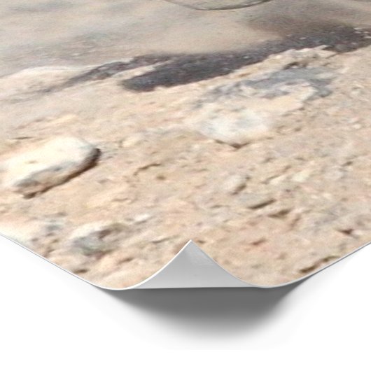 迅速で怒り狂った ポスター (角)