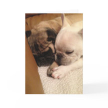 迅速な回復のために祈ること