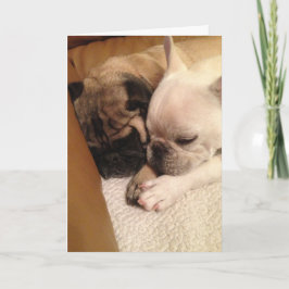 迅速な回復のために祈ること カード