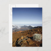 近くからヘレアカラ火口縁のシルバーソード ポストカード (正面/裏面)