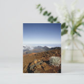 近くからヘレアカラ火口縁のシルバーソード ポストカード (スタンド正面)