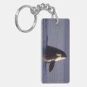 近くでスパイホップするシャチ(Orcinus orca) キーホルダー (正面左)