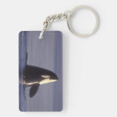 近くでスパイホップするシャチ(Orcinus orca) キーホルダー (裏面)