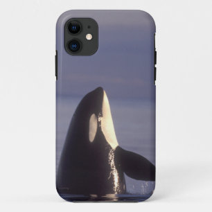 近くでスパイホップするシャチ(Orcinus orca) iPhone 11 ケース