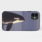 近くでスパイホップするシャチ（Orcinus orca） Case-Mate iPhoneケース (裏面(横))