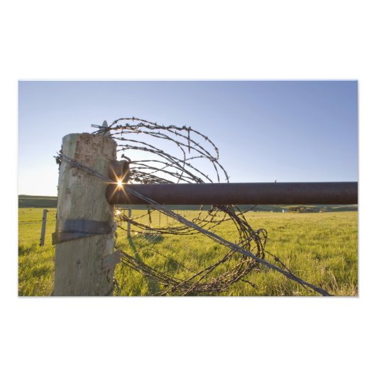 近くのフェンセ転がロに有刺鉄線を上げる フォトプリント            (正面)