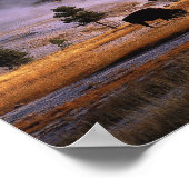 近くの上部ゲイエザー盆地でのバイソンの放牧 ポスター (角)