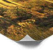 近くの相模良国立公園にあるサグアーロのサボテン ポスター (角)