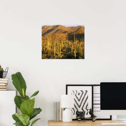 近くの相模良国立公園にあるサグアーロのサボテン ポスター (ホームオフィス)