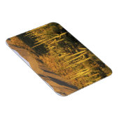 近くの相模良国立公園にあるサグアーロのサボテン マグネット (右側)