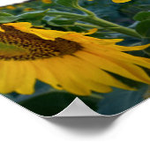 近くを見る ポスター (角)