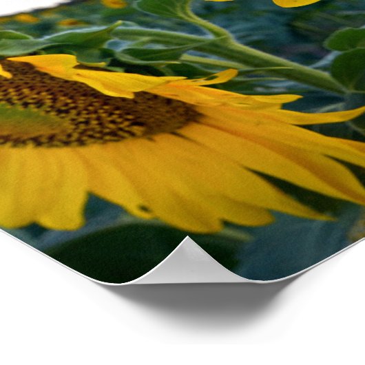 近くを見る ポスター (角)