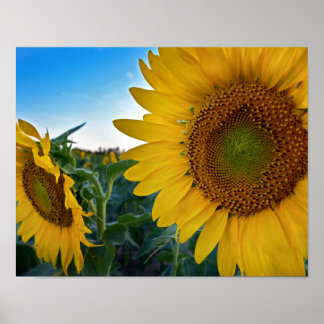 近くを見る ポスター