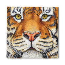 近すぎる – シベリアのタイガー磁石