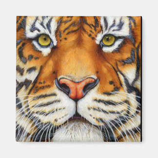 近すぎる – シベリアのタイガー磁石 マグネット