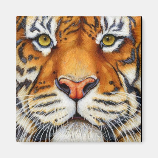 近すぎる – シベリアのタイガー磁石 マグネット (正面)