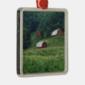 近の赤いタバコの納屋のタバコの穀物そして組 メタルオーナメント (右)