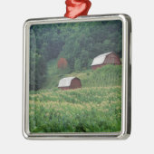 近の赤いタバコの納屋のタバコの穀物そして組 メタルオーナメント (左)