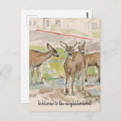 近所に鹿がいる庭のご紹介 ポストカード (正面/裏面)