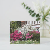 近所のツツツジ ポストカード (スタンド正面)