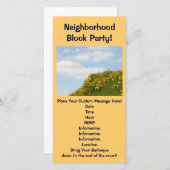 近所のブロックパーティー!サマーパーティーバルベーク (正面/裏面)