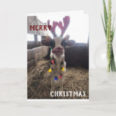 近所の人々はクリスマス楽しみと新年の幸せを願った シーズンカード (正面)