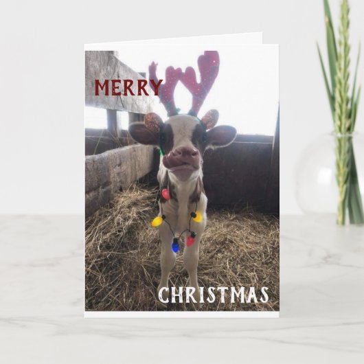 近所の人々はクリスマス楽しみと新年の幸せを願った シーズンカード (正面)