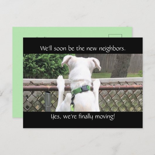 近所の人に会いたくてかわいい犬|過去記事 ポストカード (正面/裏面)