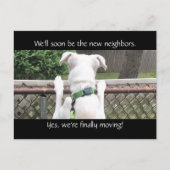 近所の人に会いたくてかわいい犬|過去記事 ポストカード (正面)